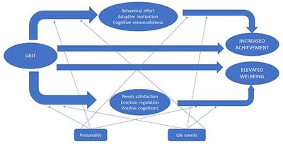 Beyond Passion and Perseverance: Review and Future Research Initiatives on the Science of Grit